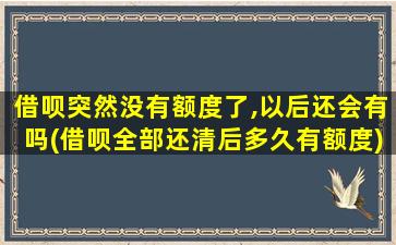 借呗突然没有额度了,以后还会有吗(借呗全部还清后多久有额度)