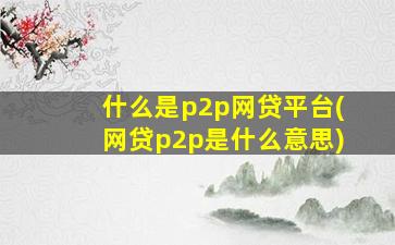 什么是p2p网贷平台(网贷p2p是什么意思)