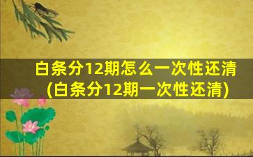 白条分12期怎么一次性还清(白条分12期一次性还清)