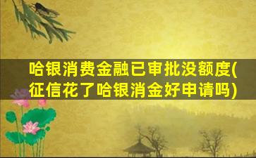 哈银消费金融已审批没额度(征信花了哈银消金好申请吗)