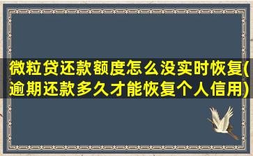 微粒贷还款额度怎么没实时恢复(逾期还款多久才能恢复个人信用)