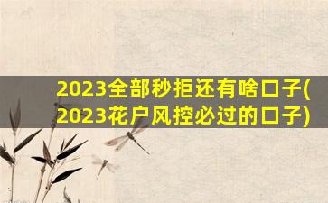 2023全部秒拒还有啥口子(2023花户风控必过的口子)