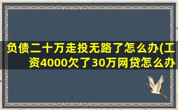 负债二十万走投无路了怎么办(工资4000欠了30万网贷怎么办)