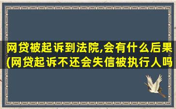 网贷被起诉到法院,会有什么后果(网贷起诉不还会失信被执行人吗)