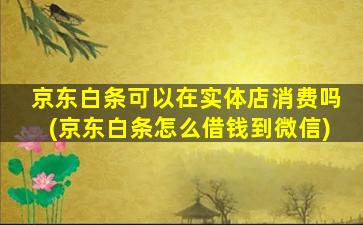 京东白条可以在实体店消费吗(京东白条怎么借钱到微信)