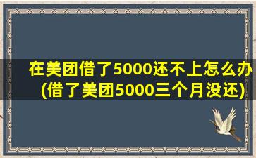 在美团借了5000还不上怎么办(借了美团5000三个月没还)