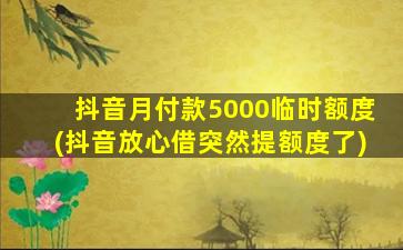 抖音月付款5000临时额度(抖音放心借突然提额度了)