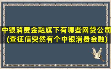 中银消费金融旗下有哪些网贷公司(查征信突然有个中银消费金融)