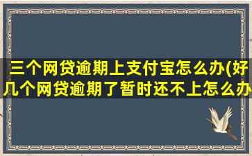 三个网贷逾期上支付宝怎么办(好几个网贷逾期了暂时还不上怎么办)