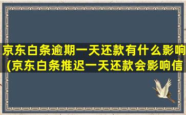 京东白条逾期一天还款有什么影响(京东白条推迟一天还款会影响信用吗)