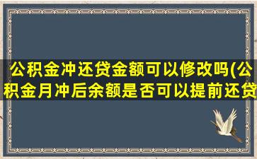 公积金冲还贷金额可以修改吗(公积金月冲后余额是否可以提前还贷)