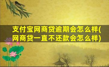 支付宝网商贷逾期会怎么样(网商贷一直不还款会怎么样)