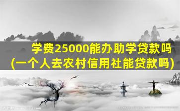 学费25000能办助学贷款吗(一个人去农村信用社能贷款吗)