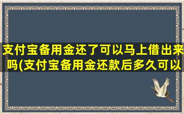 支付宝备用金还了可以马上借出来吗(支付宝备用金还款后多久可以再借)