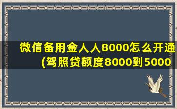 微信备用金人人8000怎么开通(驾照贷额度8000到50000)