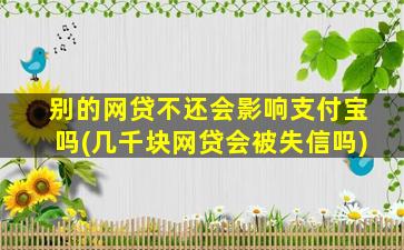 别的网贷不还会影响支付宝吗(几千块网贷会被失信吗)