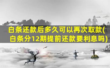 白条还款后多久可以再次取款(白条分12期提前还款要利息吗)