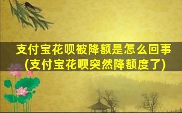 支付宝花呗被降额是怎么回事(支付宝花呗突然降额度了)