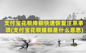 支付宝花呗降额快速恢复注意事项(支付宝花呗提额是什么意思)