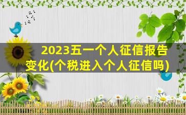 2023五一个人征信报告变化(个税进入个人征信吗)