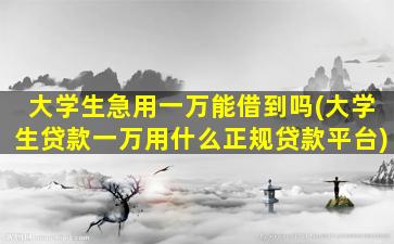 大学生急用一万能借到吗(大学生贷款一万用什么正规贷款平台)