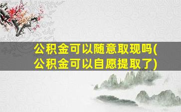 公积金可以随意取现吗(公积金可以自愿提取了)