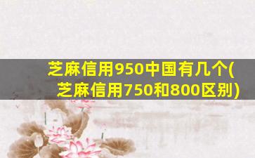 芝麻信用950中国有几个(芝麻信用750和800区别)