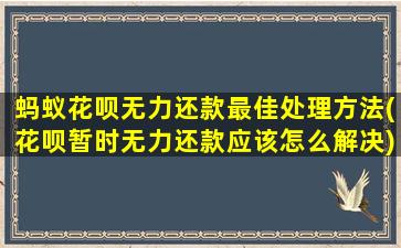 蚂蚁花呗无力还款最佳处理方法(花呗暂时无力还款应该怎么解决)