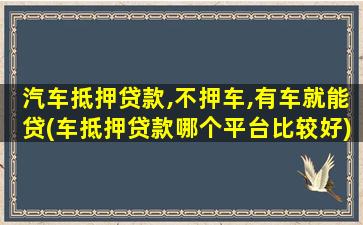 汽车抵押贷款,不押车,有车就能贷(车抵押贷款哪个平台比较好)