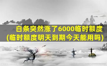 白条突然涨了6000临时额度(临时额度明天到期今天能用吗)