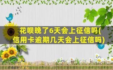 花呗晚了6天会上征信吗(信用卡逾期几天会上征信吗)