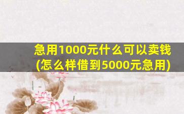 急用1000元什么可以卖钱(怎么样借到5000元急用)