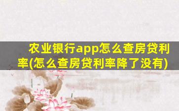 农业银行app怎么查房贷利率(怎么查房贷利率降了没有)