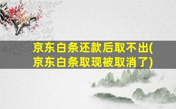 京东白条还款后取不出(京东白条取现被取消了)