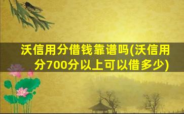 沃信用分借钱靠谱吗(沃信用分700分以上可以借多少)