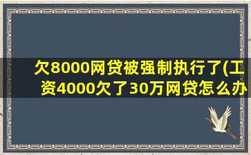 欠8000网贷被强制执行了(工资4000欠了30万网贷怎么办)