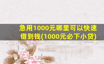 急用1000元哪里可以快速借到钱(1000元必下小贷)