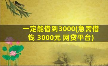 一定能借到3000(急需借钱 3000元 网贷平台)