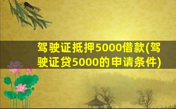 驾驶证抵押5000借款(驾驶证贷5000的申请条件)