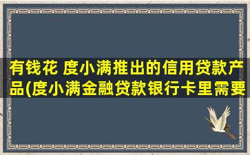 有钱花 度小满推出的信用贷款产品(度小满金融贷款银行卡里需要有钱吗)