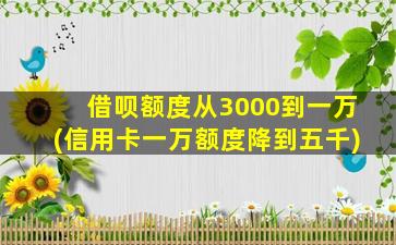 借呗额度从3000到一万(信用卡一万额度降到五千)