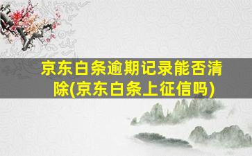 京东白条逾期记录能否清除(京东白条上征信吗)