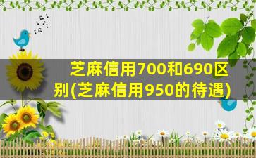 芝麻信用700和690区别(芝麻信用950的待遇)