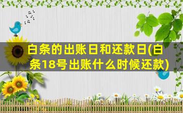 白条的出账日和还款日(白条18号出账什么时候还款)