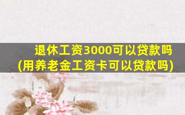 退休工资3000可以贷款吗(用养老金工资卡可以贷款吗)