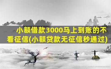 小额借款3000马上到账的不看征信(小额贷款无征信秒通过)