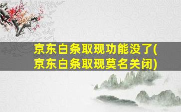 京东白条取现功能没了(京东白条取现莫名关闭)