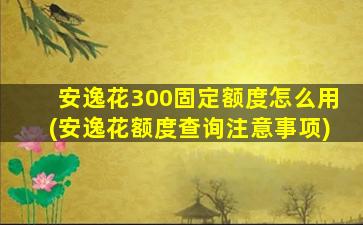 安逸花300固定额度怎么用(安逸花额度查询注意事项)