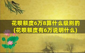 花呗额度6万8算什么级别的(花呗额度有6万说明什么)