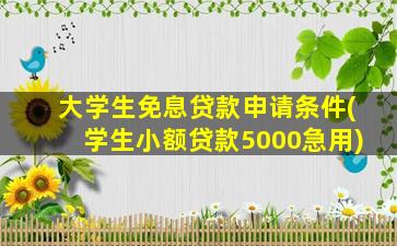 大学生免息贷款申请条件(学生小额贷款5000急用)